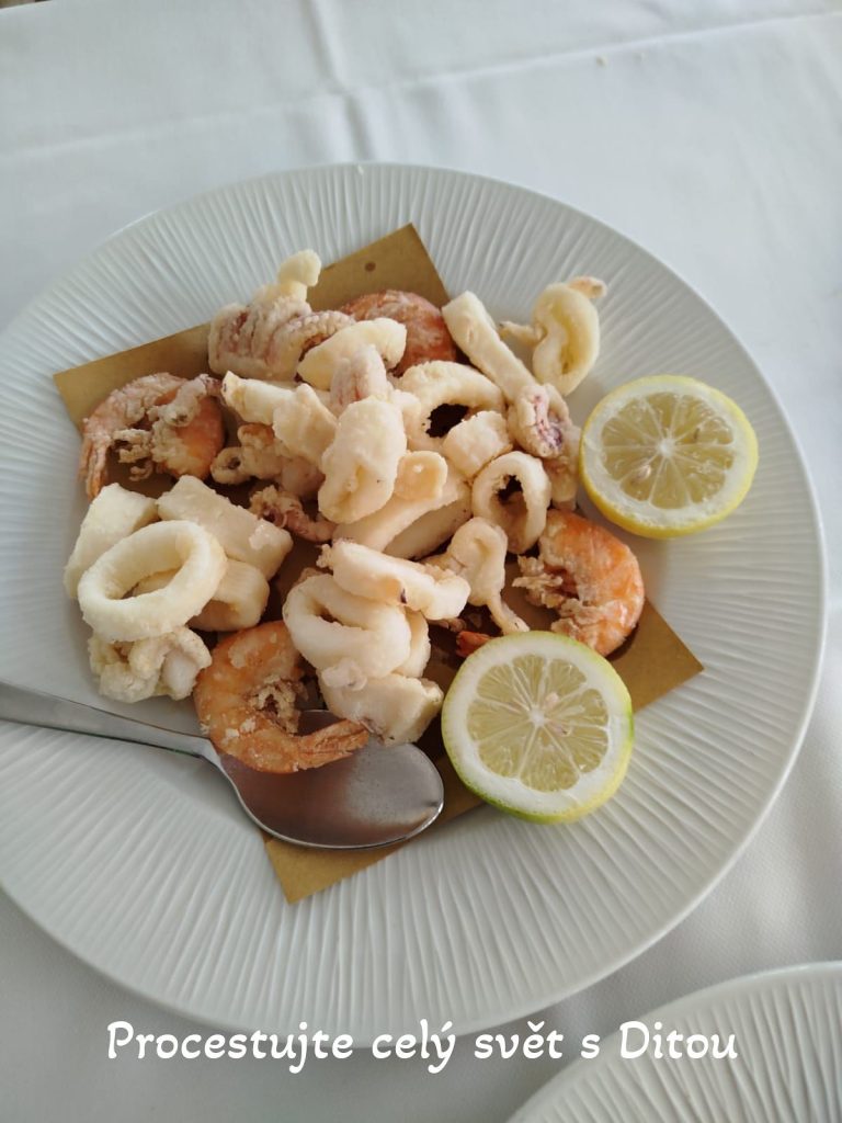 procestujte cely svet s ditou fireflies 105