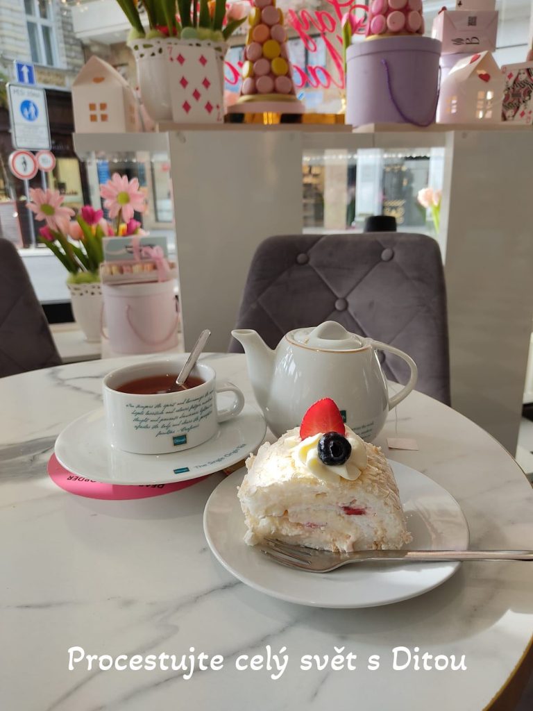 procestujte cely svet s ditou fireflies 110