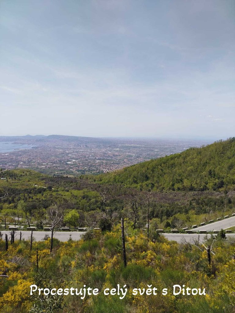 procestujte cely svet s ditou fireflies 60