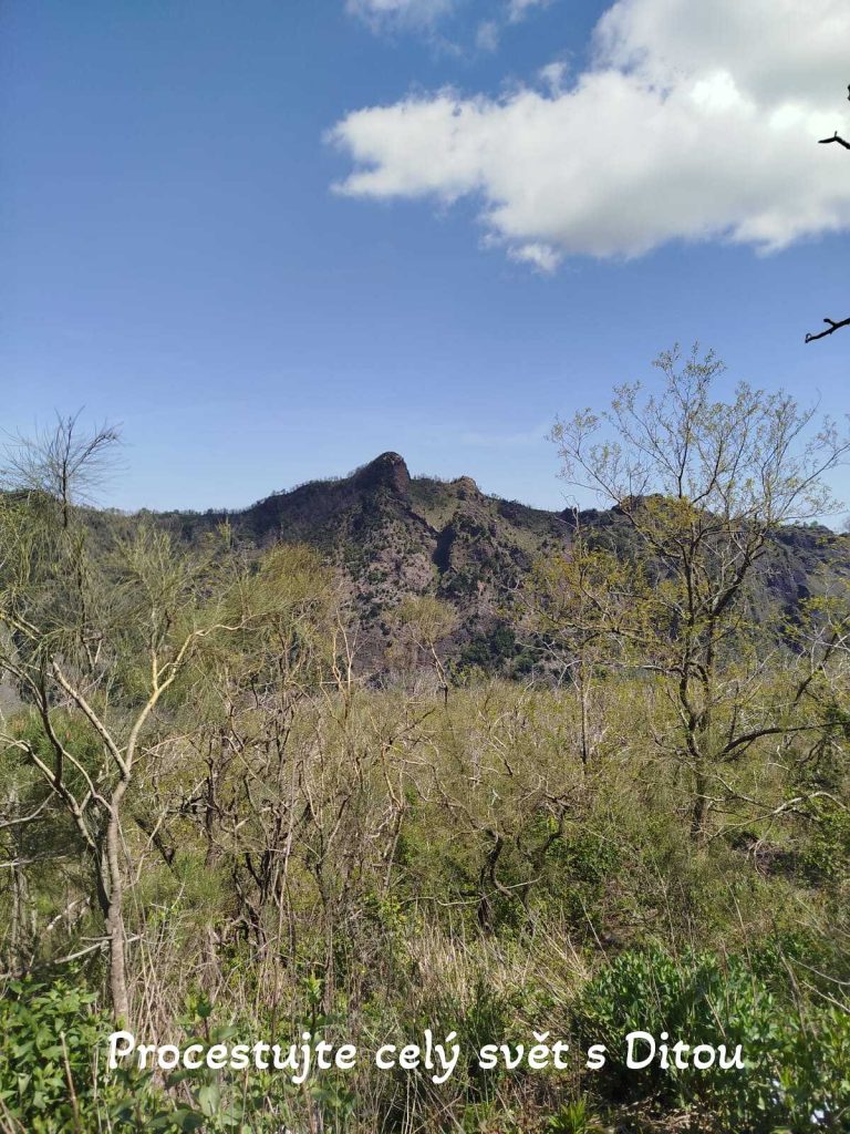 procestujte cely svet s ditou fireflies 61