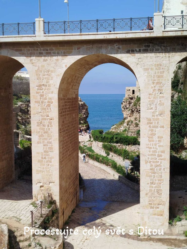 procestujte cely svet s ditou fireflies 84