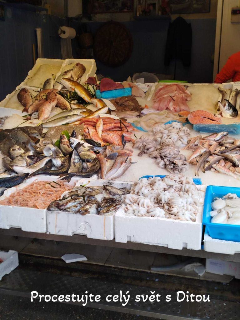 procestujte cely svet s ditou fireflies 86