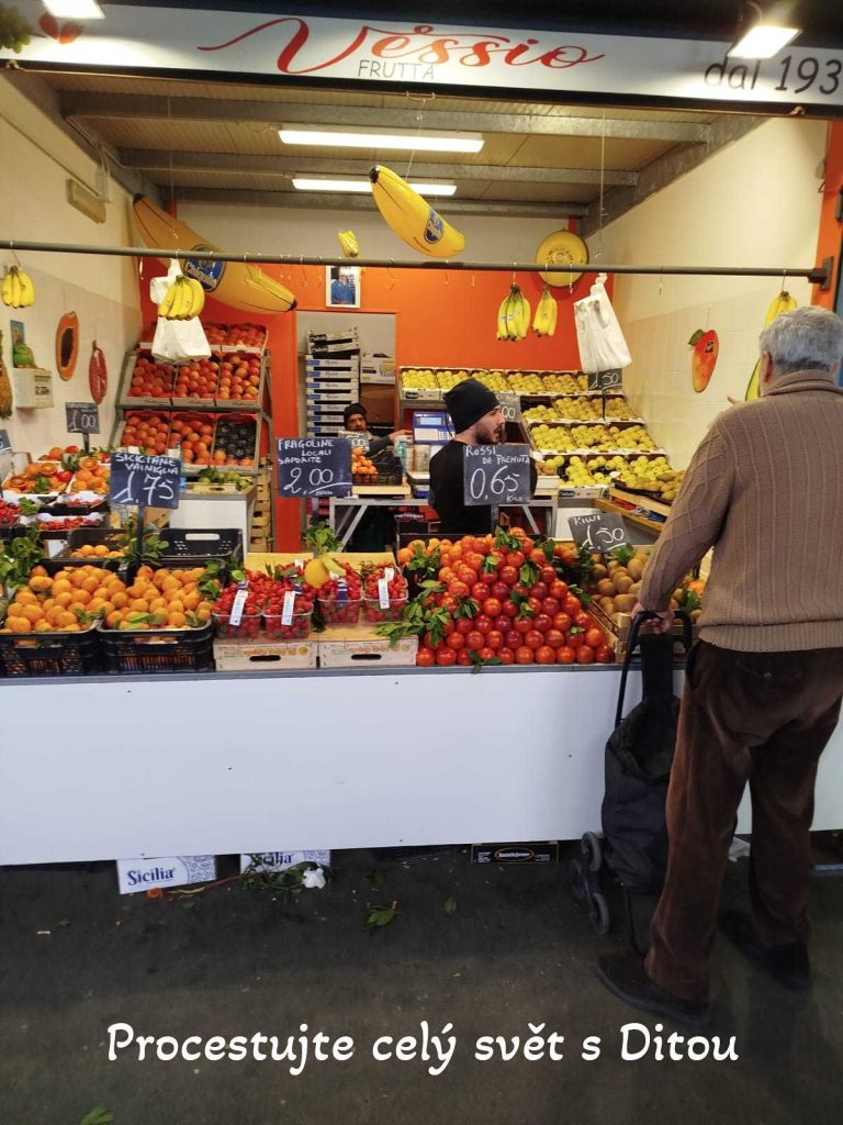 procestujte cely svet s ditou fireflies 87