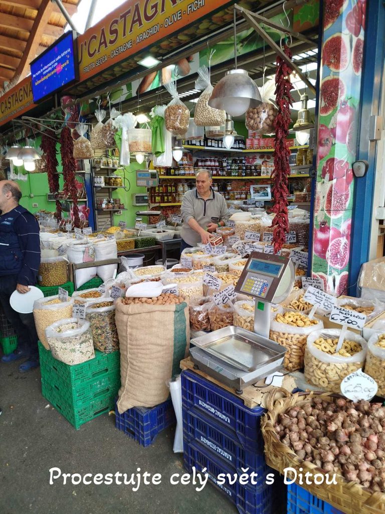 procestujte cely svet s ditou fireflies 89