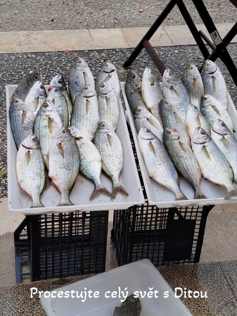 procestujte cely svet s ditou fireflies 90